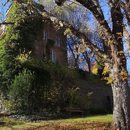 Ferienwohnung Eifelblick 施莱登 外观 照片
